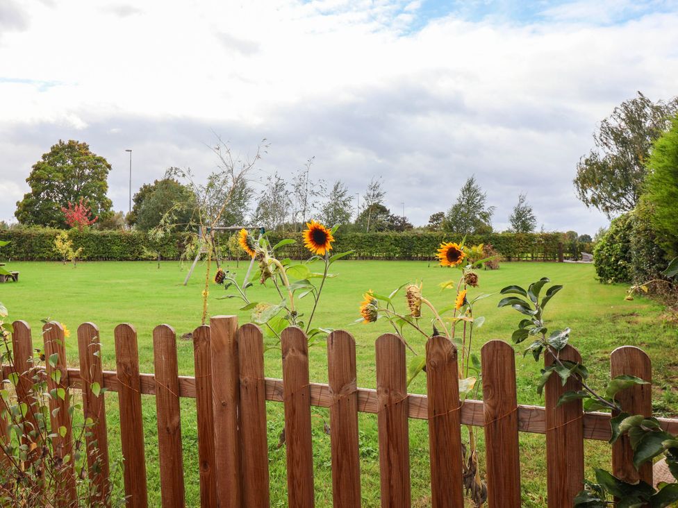 A garden view with sunflowers and a wooden fence at The Snug in 