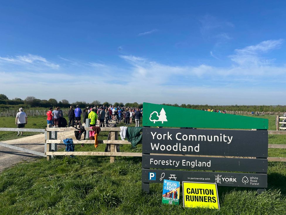 A gathering of people at York Community Woodland in Upper Poppleton