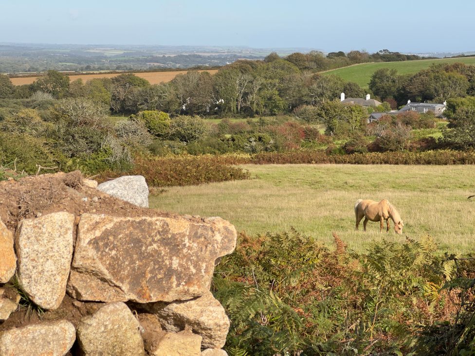 A horse grazing in a field with a stone wall and houses in the background at Granfer’s near Penryn
