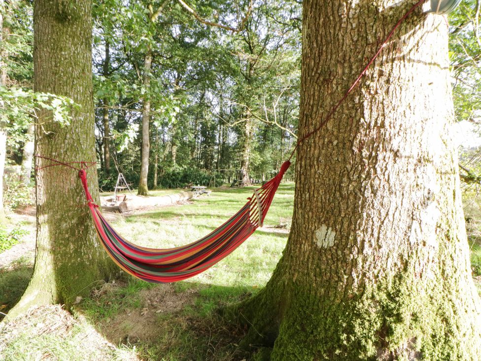 A hammock suspended between two trees at Bell Tent in Builth Wells