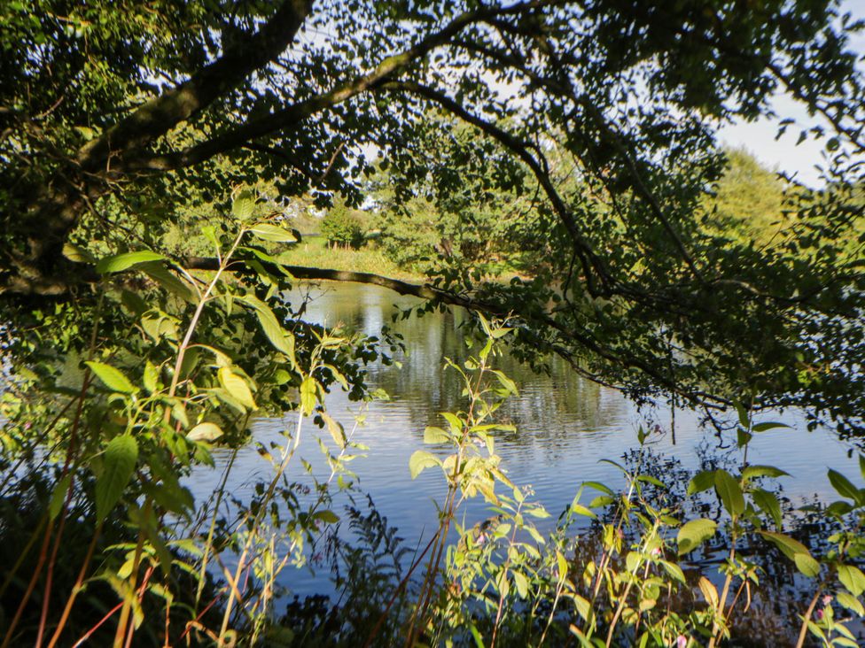 A view of water surrounded by trees and foliage at Bell Tent in Builth Wells