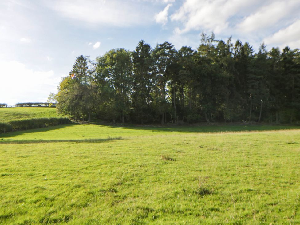 A field with grass and trees in the background at Bell Tent in Builth Wells