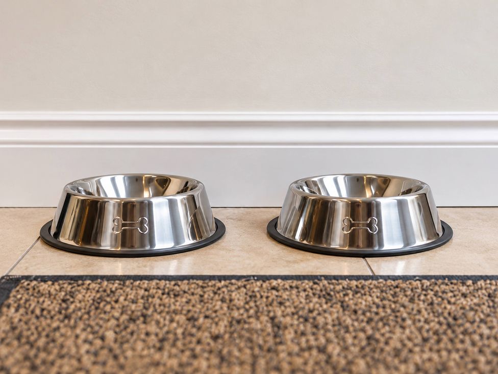 Two metal dog bowls on a mat at 20A Westend Parade Gloucester
