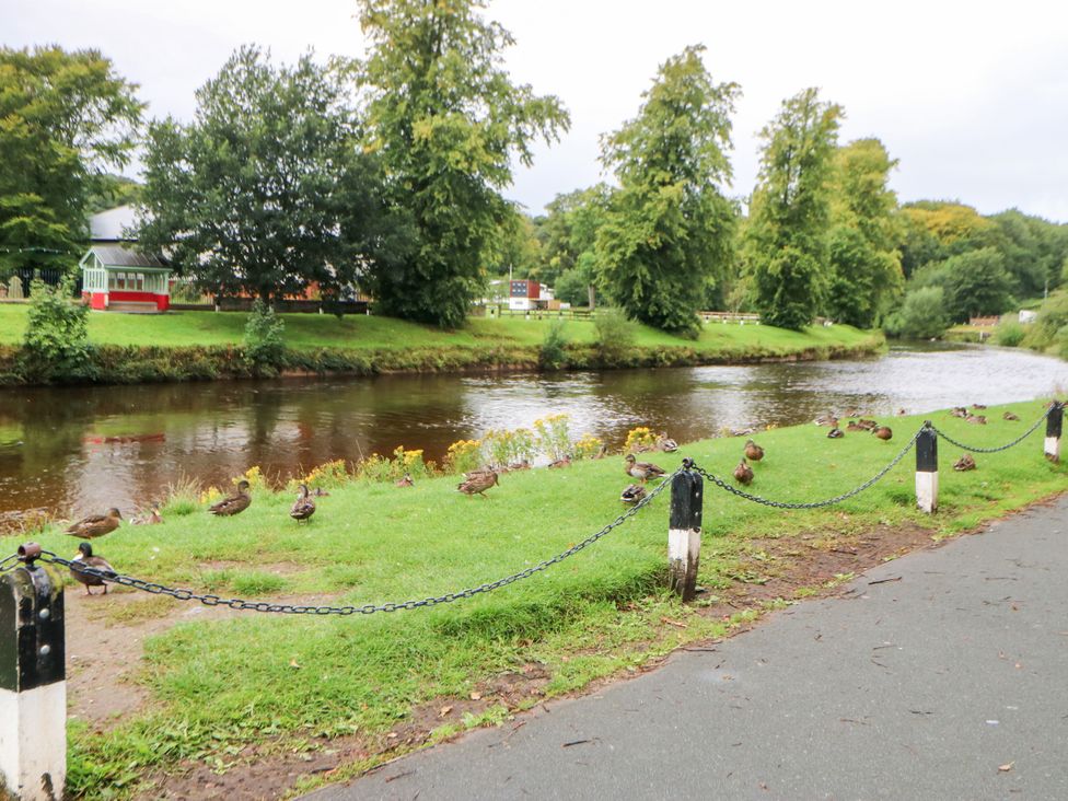 A river with ducks along the bank at Crown Cottage in Appleby-In-Westmorland