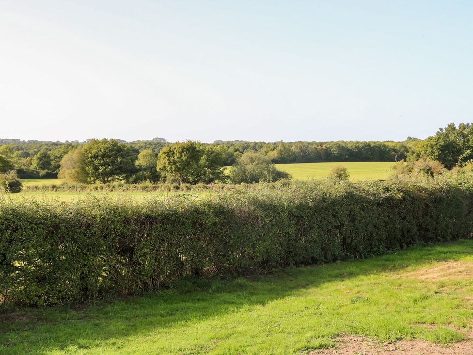 A view of a field with trees and a hedge at The Granary 2 Bed in Bordon