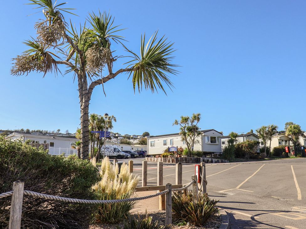 An outdoor scene with caravans and palm trees at Spruces 30 Sandy Bay, Exmouth
