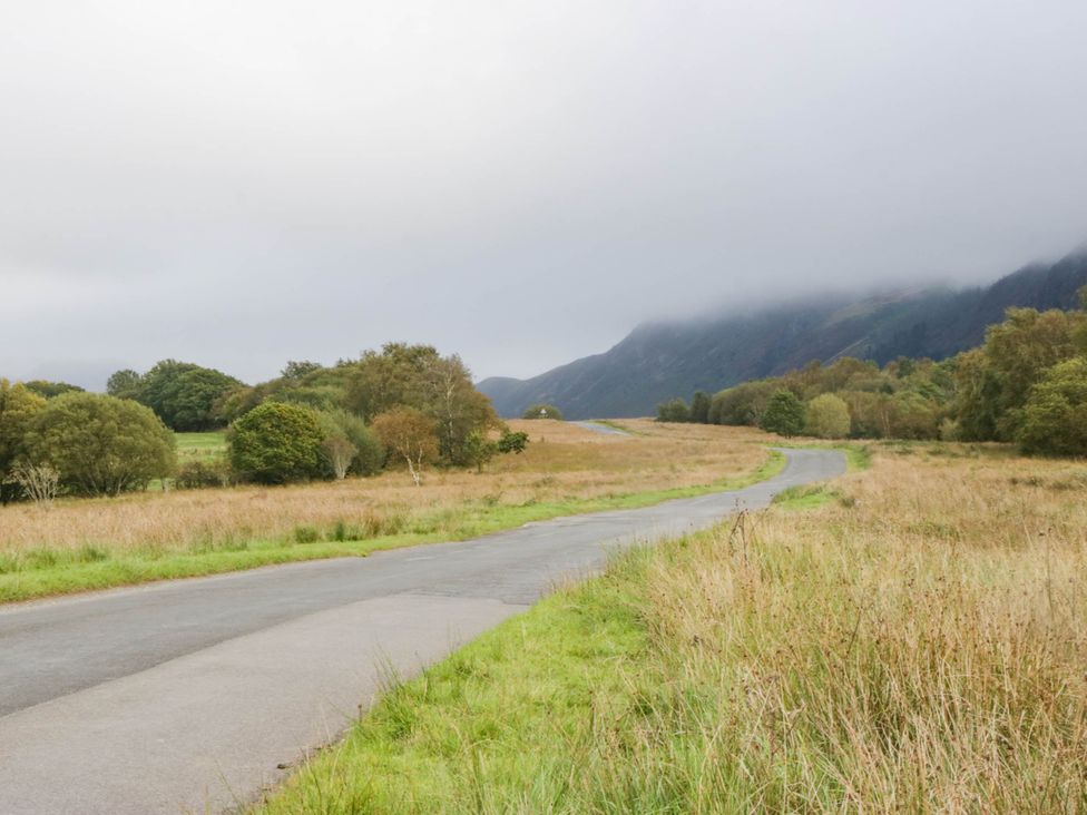 A road through grassland with trees and mountains at Holly in Cleator