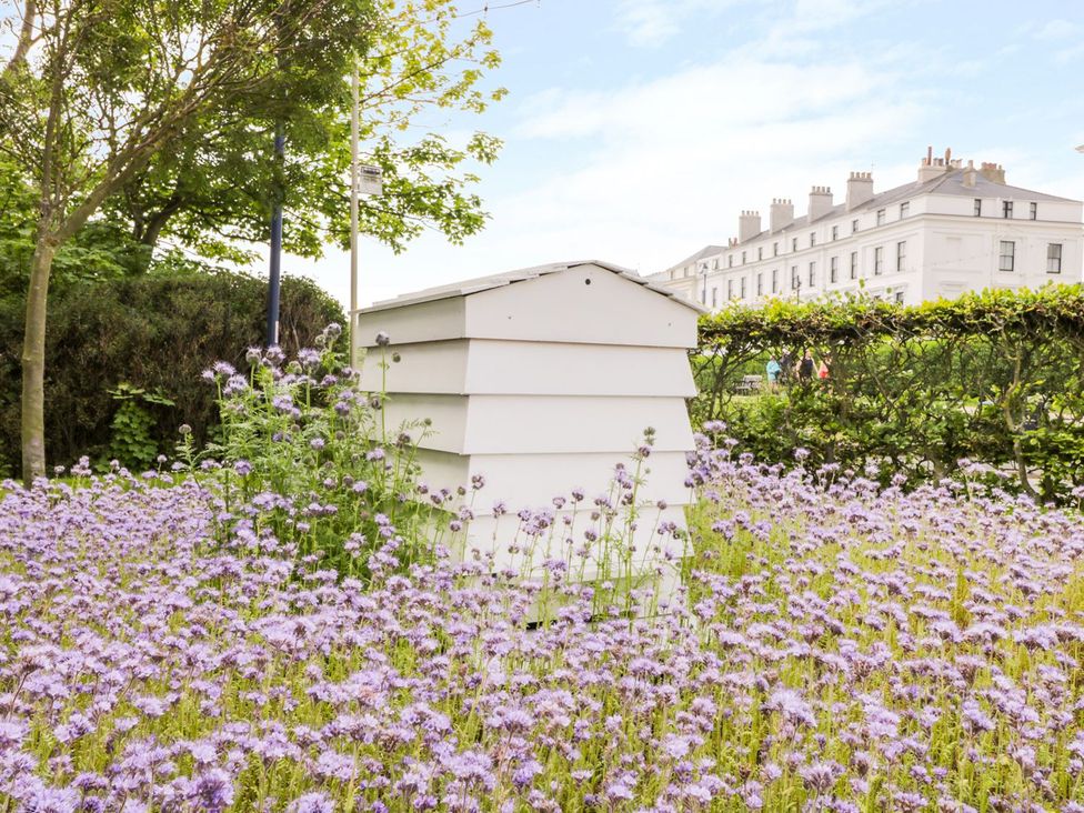 A beehive surrounded by flowers at Chapel Cottage in Filey