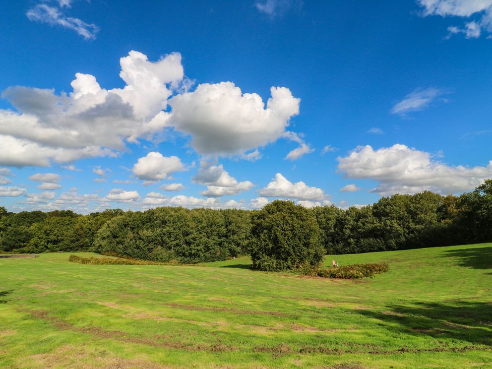 A green field with trees and clouds in the sky at Elsie Lodge Hastings