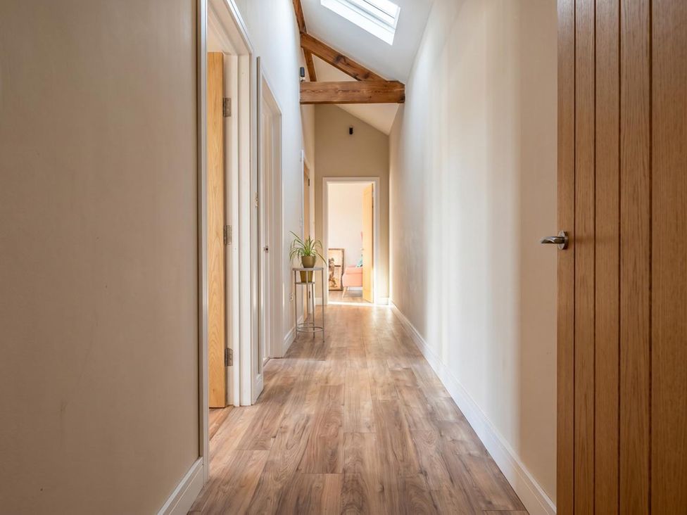 A hallway with a plant and doors at 