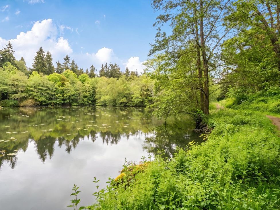 A lake surrounded by trees and a grassy path