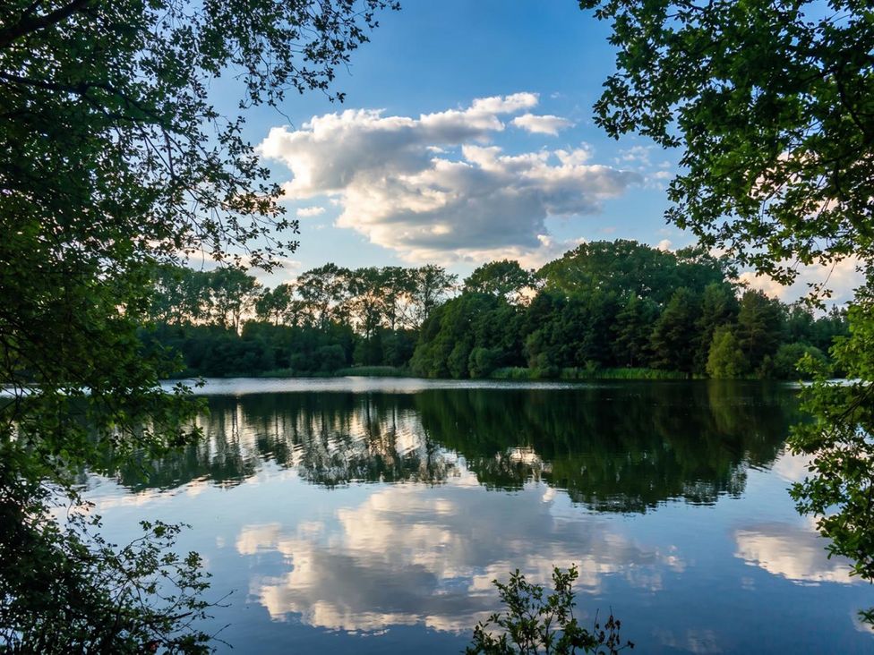 A lake surrounded by trees and reflecting clouds in the sky