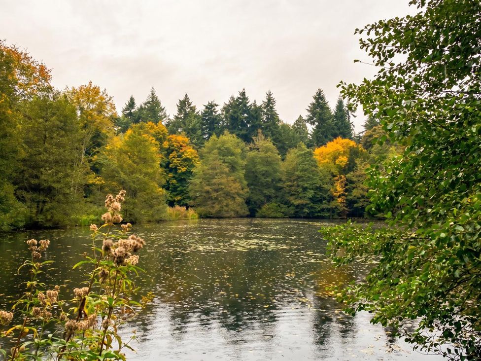 A view of a pond surrounded by trees at a natural area