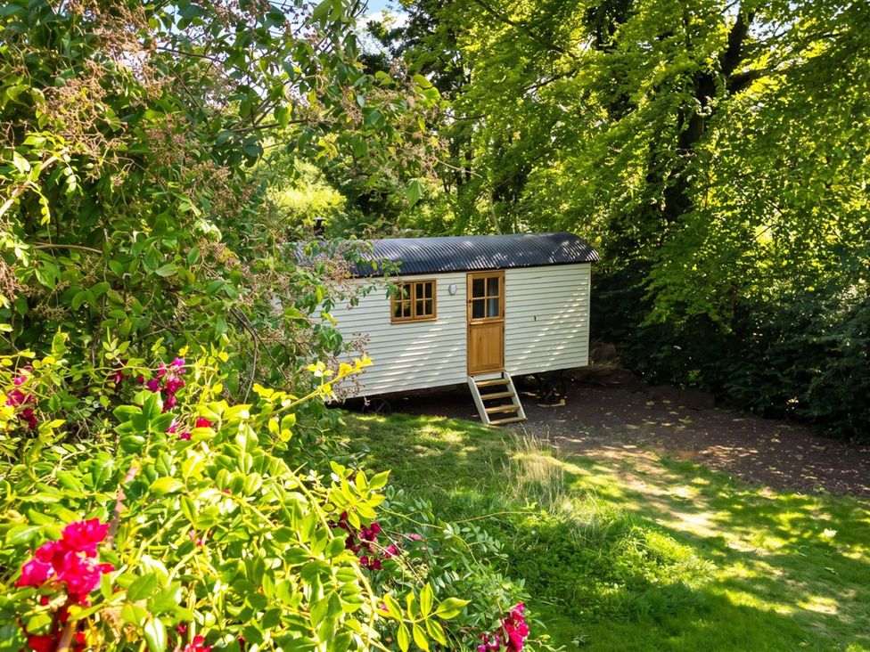 A mobile home with steps in a garden surrounded by plants and trees