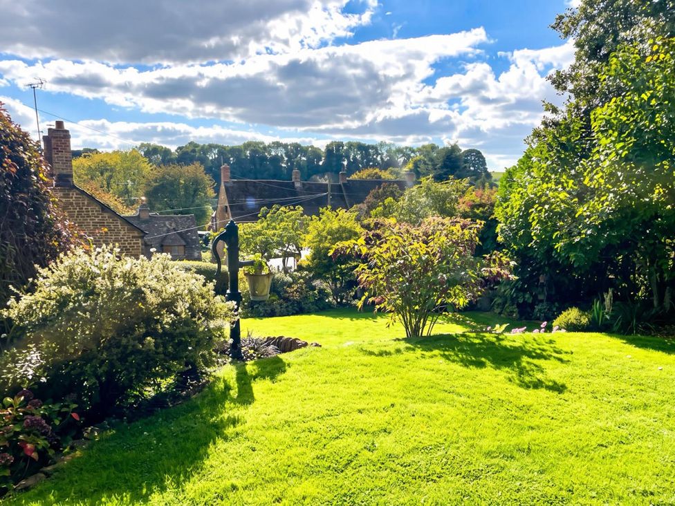 A garden with grass and plants at a property in an unspecified location