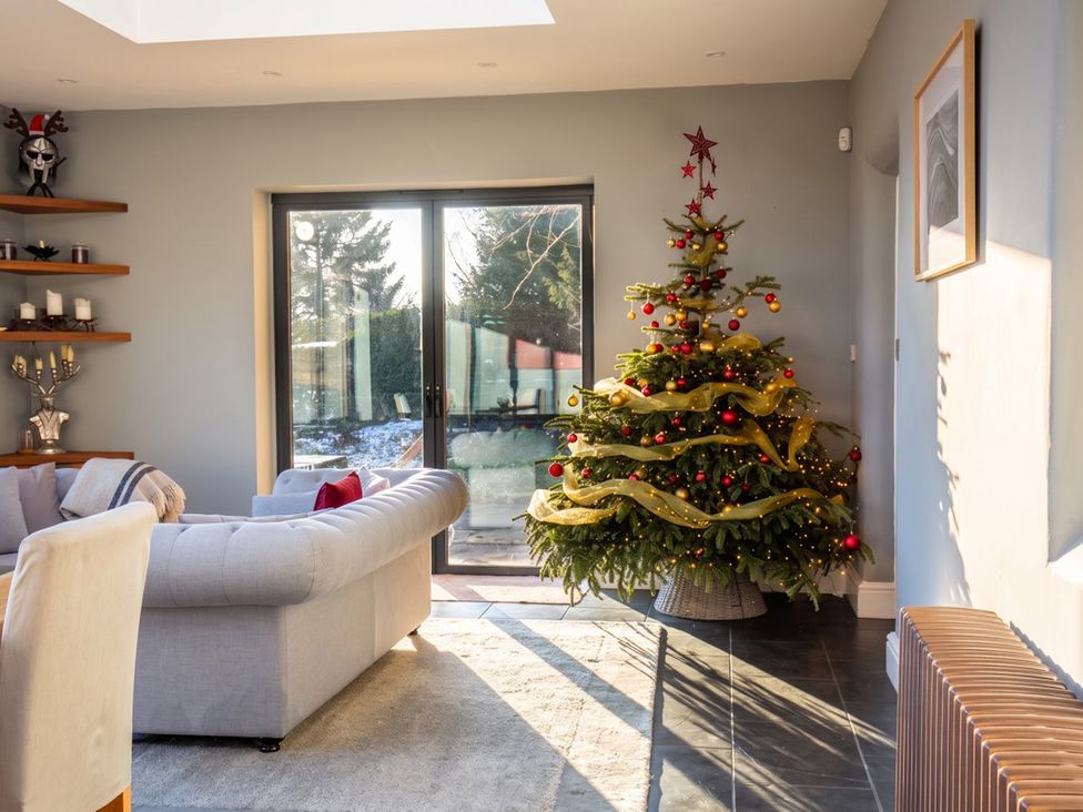 A living room with a Christmas tree and a sofa at the property in the location