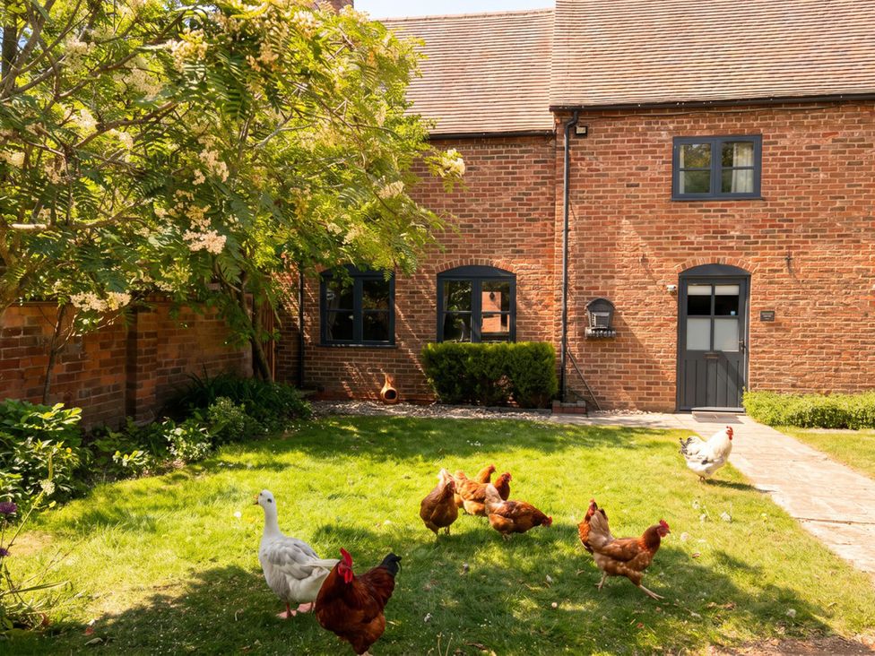 A garden with chickens and a duck in front of a house at 