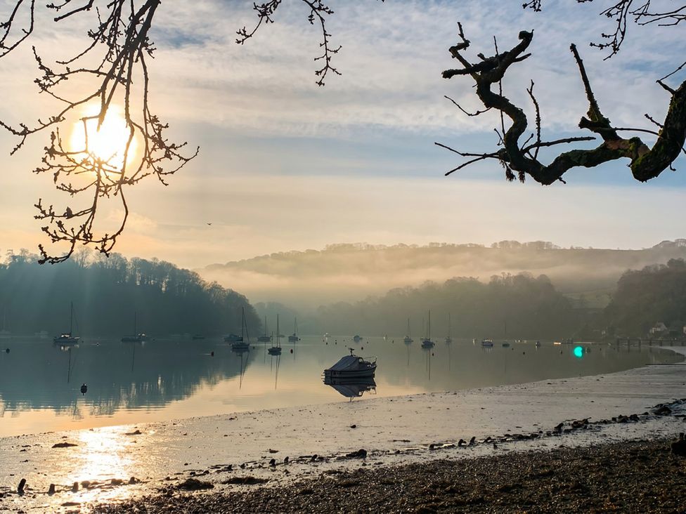 A scenic view of water with boats and tree branches at Quay Cottage
