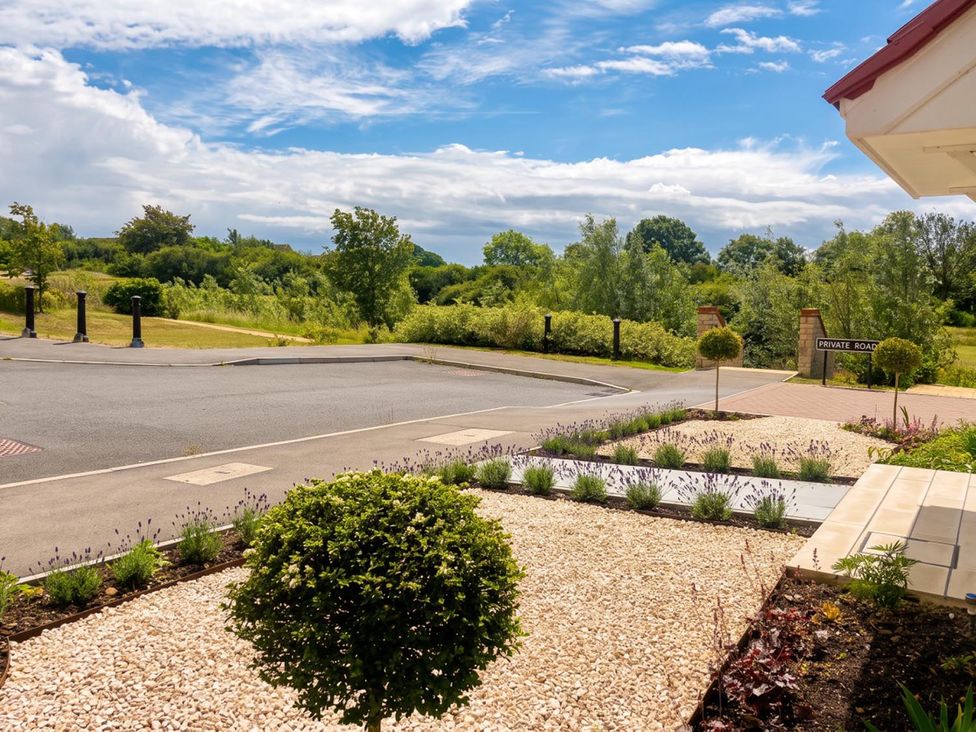 A garden with flowers and a road visible at a property