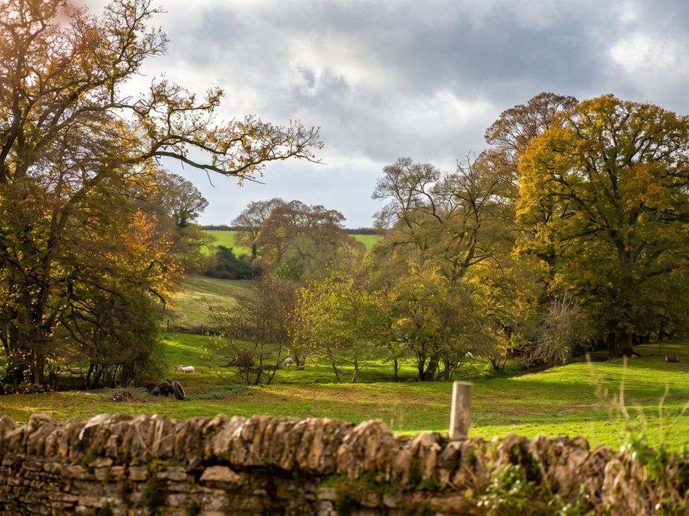 A landscape with trees and a stone wall in an outdoor setting at 