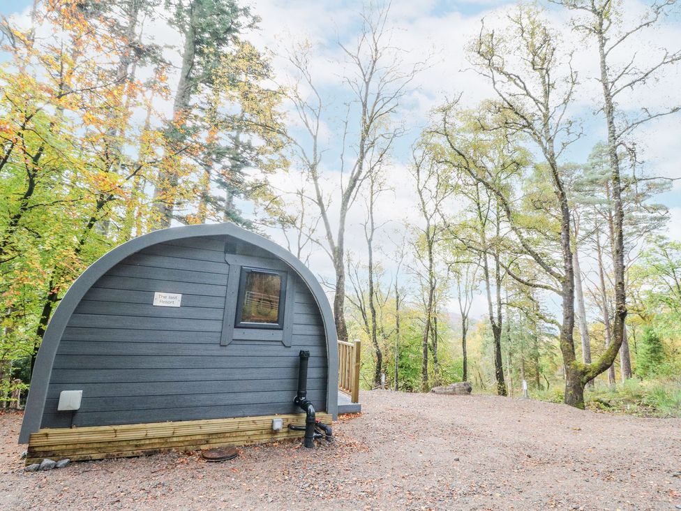 A pod located in a forest at Elleric Pods - The Last Resort in Appin