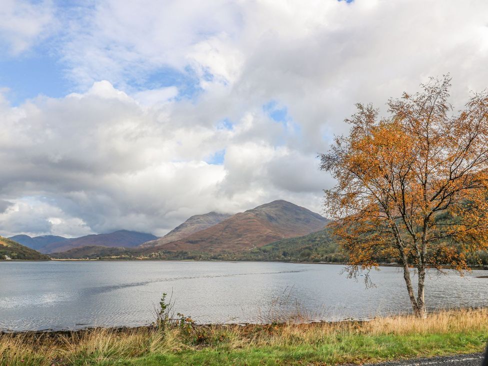 A landscape featuring a lake with mountains and a tree at Elleric Pods - The Last Resort, Appin
