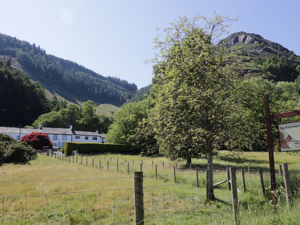 A house and tree with a mountain in the background at Swallow's Nest in Keswick