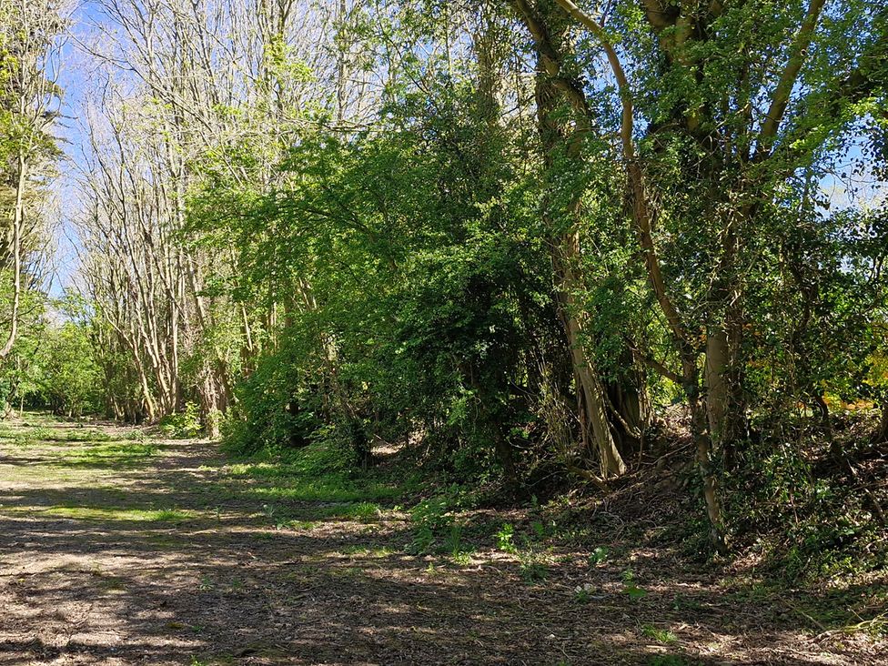 A forested pathway with trees and bushes at Snowdrop Lodge Dog friendly Nr Anderby Creek, Alford