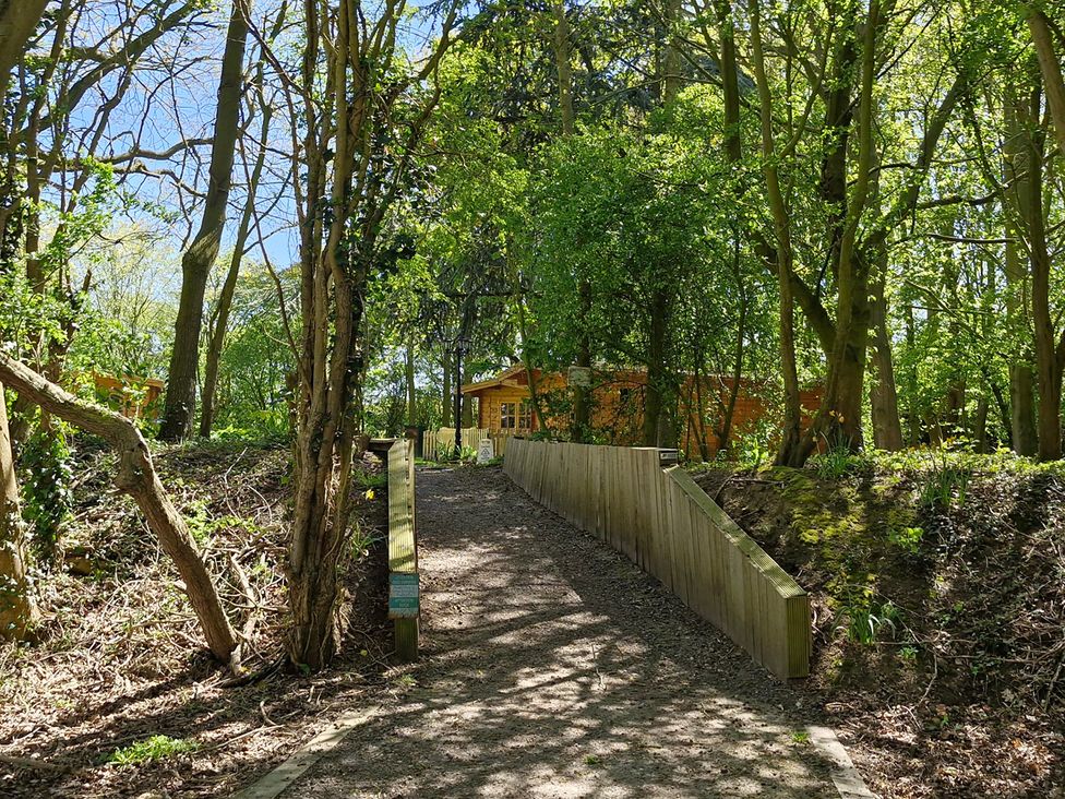 A pathway surrounded by trees leading to a wooden cabin at Snowdrop Lodge Dog friendly Nr Anderby Creek in Alford