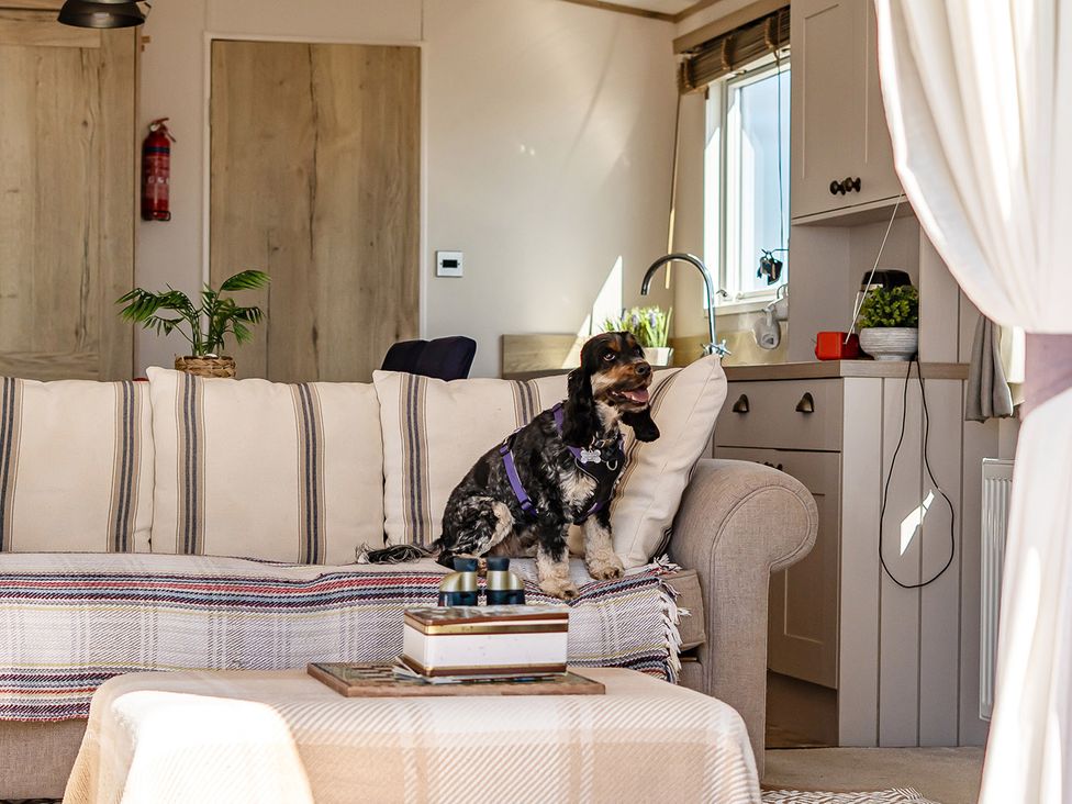 A living room with a dog on the sofa at 2 Bed Caravan, Sleeps 4 with Sea Views West Lulworth