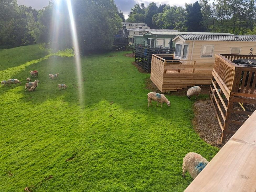 An outdoor area with caravans and grazing sheep at Chapel Farm Static Caravan Holiday Park Lucky Lodge 7 Appleby-in-Westmorland