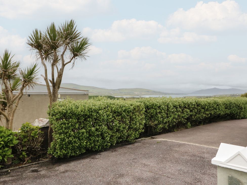 An outdoor view with palm trees and a hedge at Wild Atlantic Way Country Cottage, Portmagee, County Kerry
