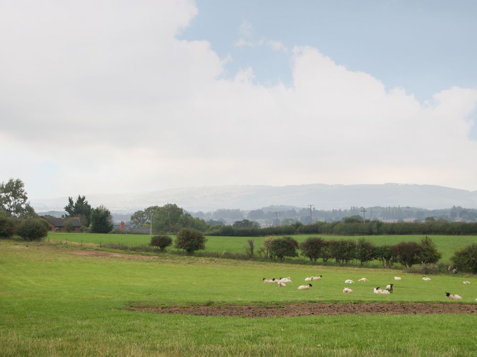 Little Cowarne Court - Herefordshire - 12371 - thumbnail photo 32