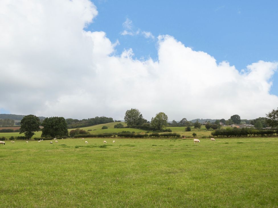 Durstone Cottage - Herefordshire - 12372 - thumbnail photo 57