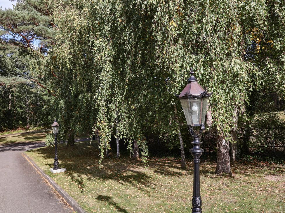 A pathway with lamp posts and trees at Primrose Lodge Saltburn-by-the-Sea