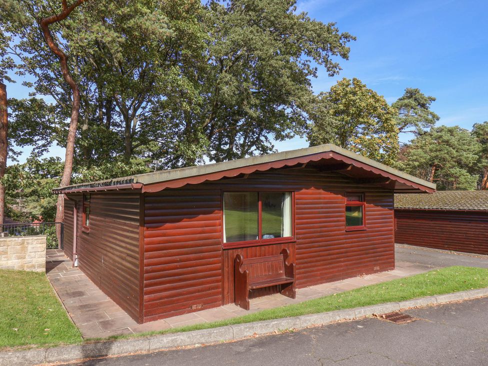 A wooden lodge with a patio area at Primrose Lodge in Saltburn-by-the-Sea