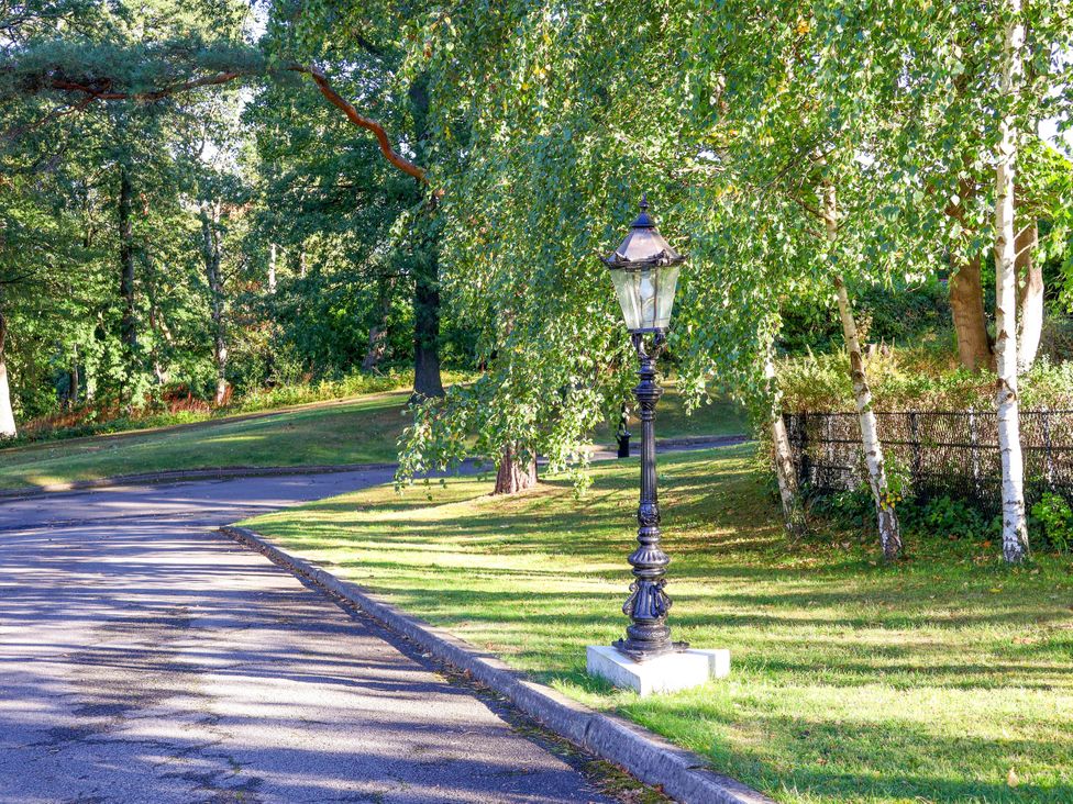 A lamp post beside a road with trees and grass at Primrose Lodge in Saltburn-by-the-Sea