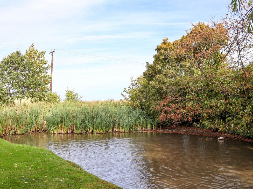 A pond surrounded by grass and trees at Primrose Lodge Saltburn-by-the-Sea