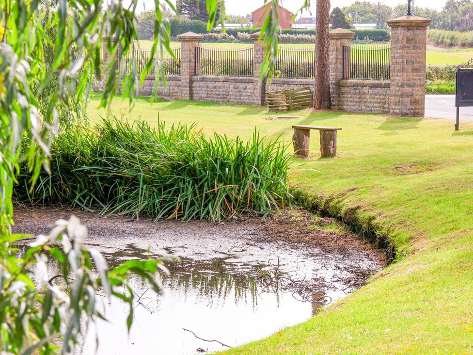 A pond with grass and a bench at Primrose Lodge Saltburn-by-the-Sea