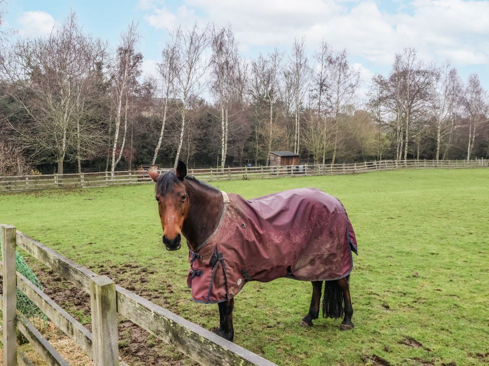A horse wearing a blanket standing in a pasture at Lair Close Cottage in Shaw Mills near Harrogate
