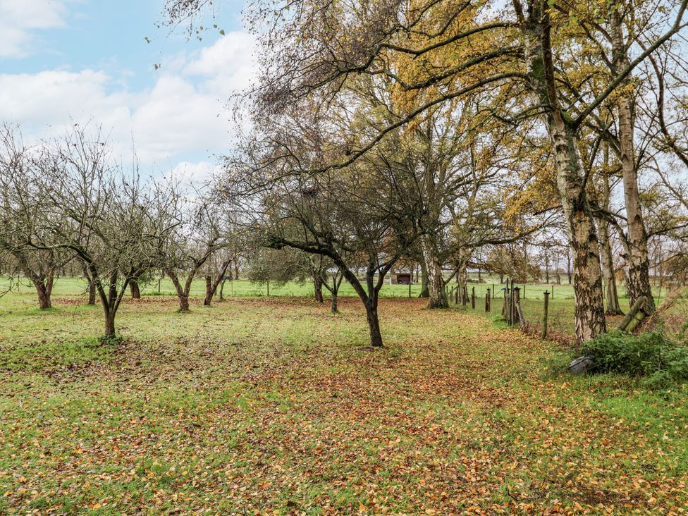 An outdoor area with trees and fallen leaves at The Lodge in Old Buckenham near Attleborough