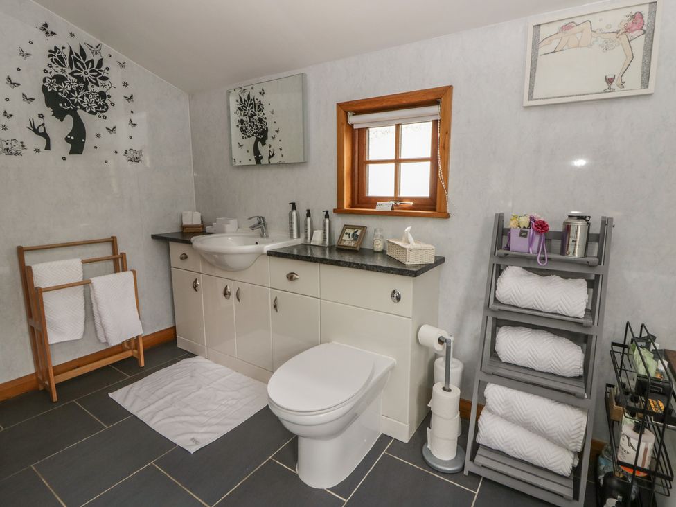 A bathroom with a sink and toilet at Yr Hen Llaethdy near Blaen-Cil-Llech
