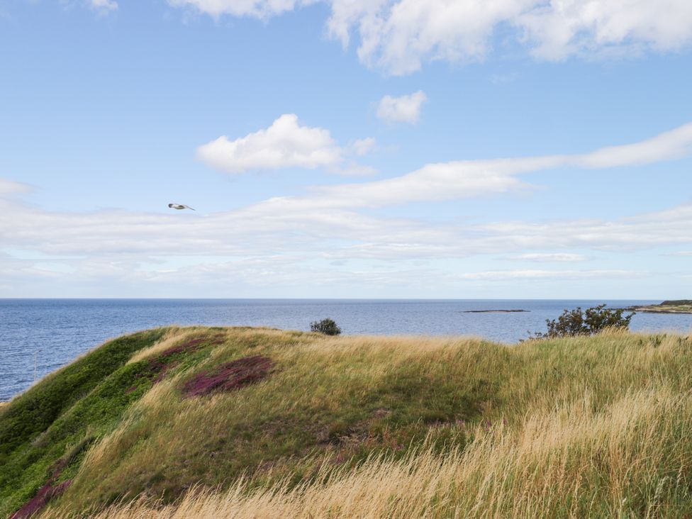 A coastal view with grass and water at Braehead Croft in Portessie near Buckie