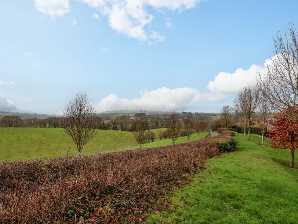 A landscape view with grass and trees at Berry Banks Cottage in Whitby
