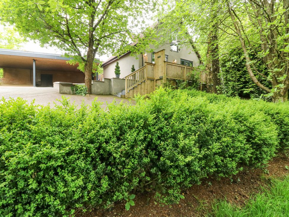 Treetops - Devon - 16749 - thumbnail photo 4