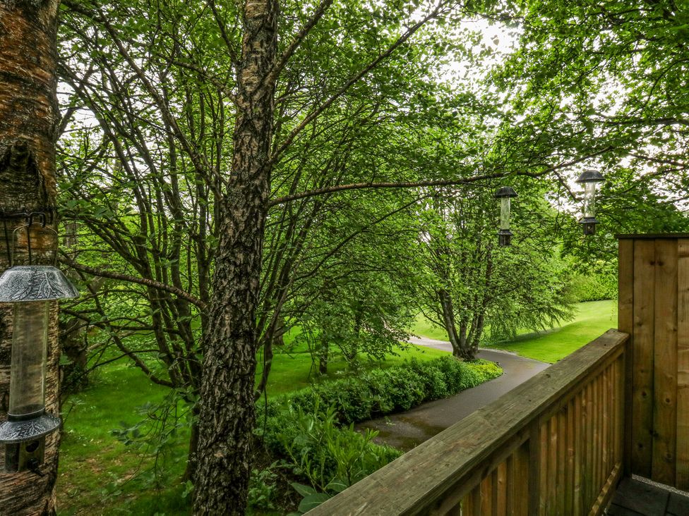 Treetops - Devon - 16749 - thumbnail photo 42