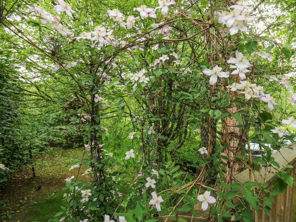 Treetops - Devon - 16749 - thumbnail photo 43