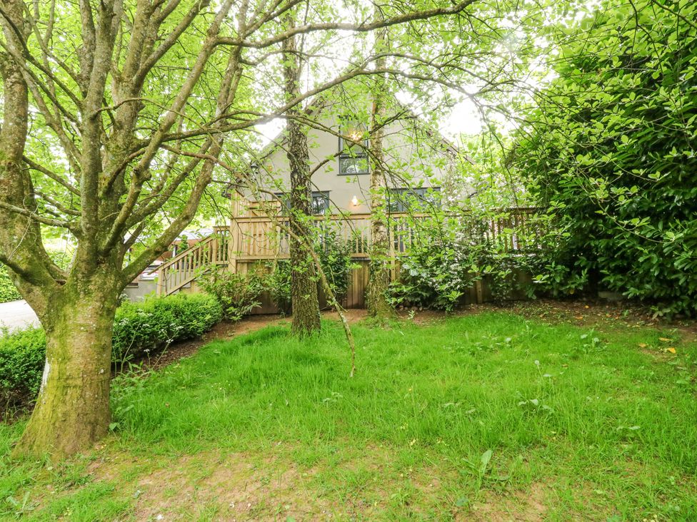 Treetops - Devon - 16749 - thumbnail photo 44