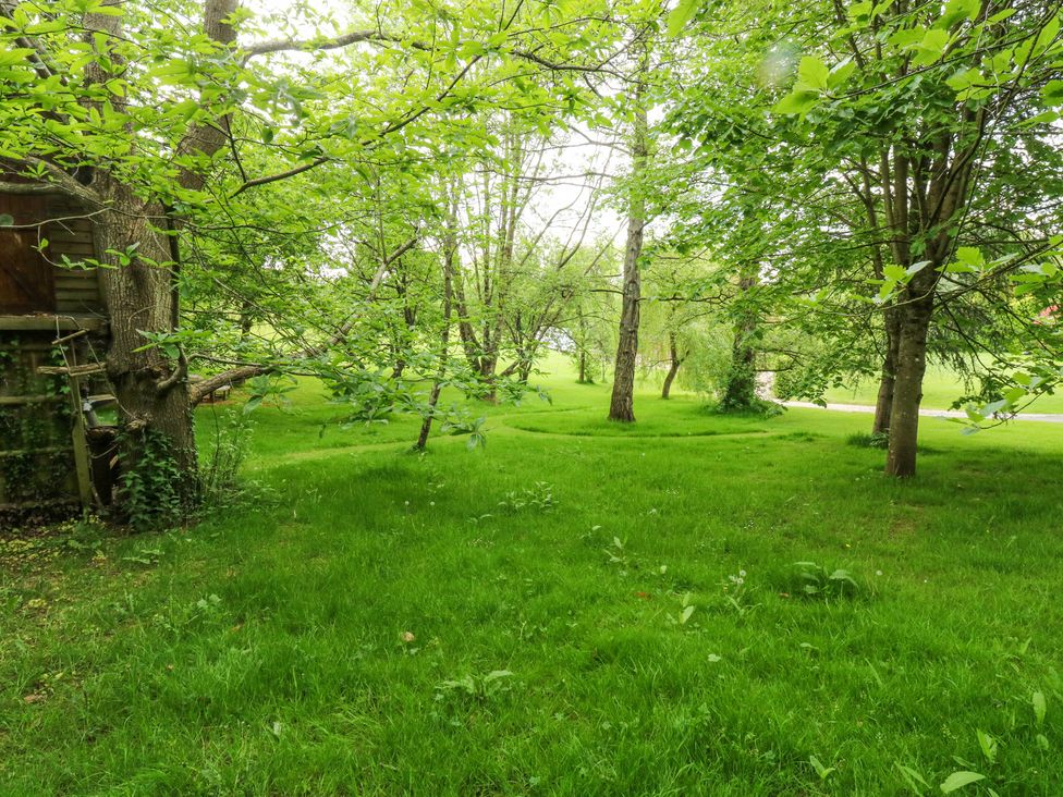 Treetops - Devon - 16749 - thumbnail photo 45