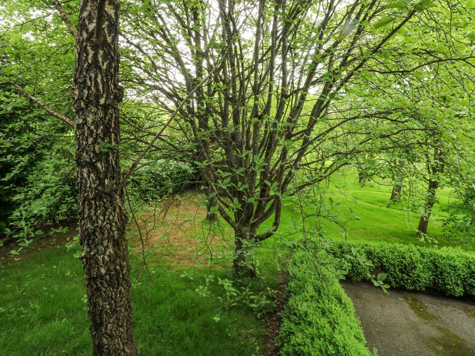 Treetops - Devon - 16749 - thumbnail photo 47